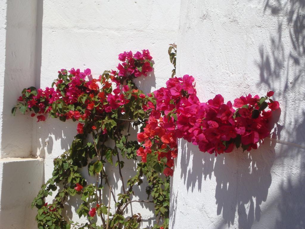 Masseria Bianca Di Puglia Монополи Номер фото